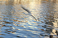 大変興味深く学習させていただいております。