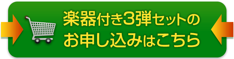 短期間で憧れのヴァイオリンが弾ける！池田晴子先生のヴァイオリン