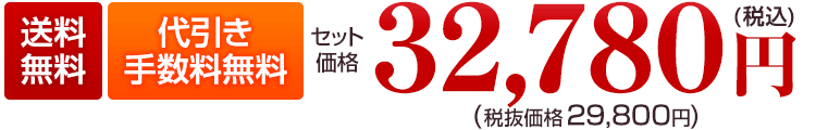 送料無料 32,780円（税込）